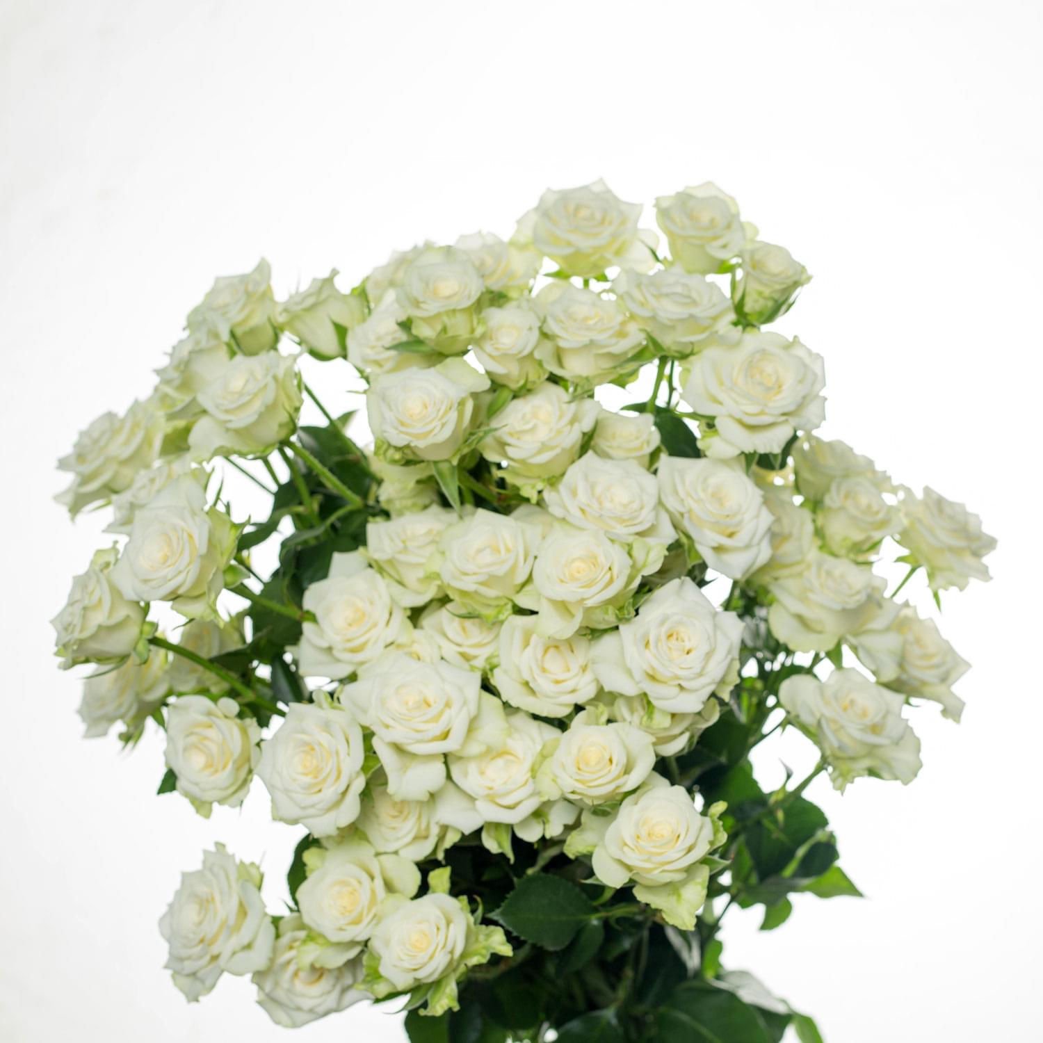 Snowflake - Image 2